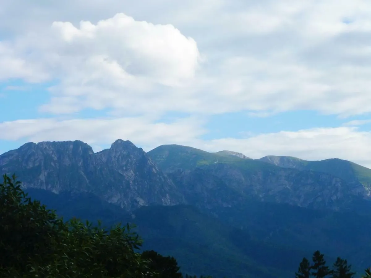 Apartamenty Folk Dream Harenda Zakopane