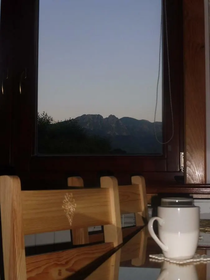 Apartamenty Folk Dream Harenda Zakopane Polonia